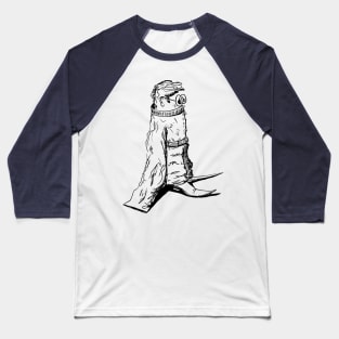 Shy Baseball T-Shirt